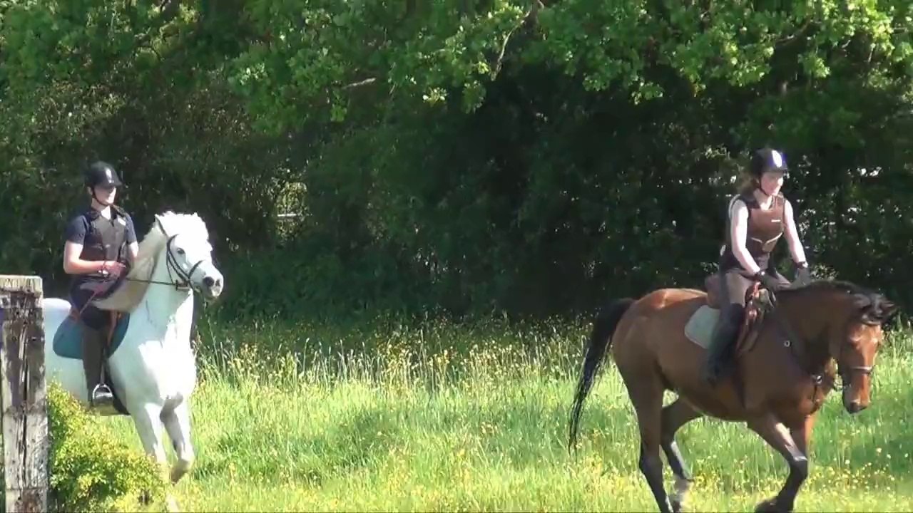 Cours de cross 20140517