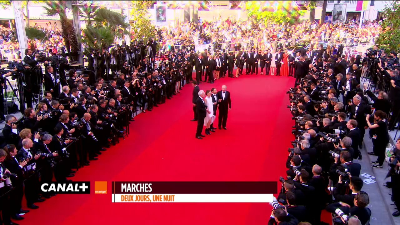 Cannes 2014 - Highlights - 20/05/2014