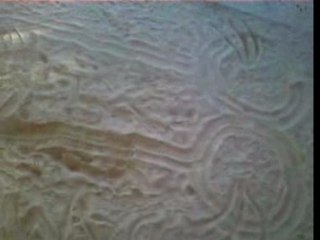 Le chef-d'oeuvre a Daminou