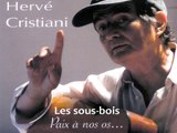 Hervé CRISTIANI - Les sous-bois
