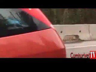 Otoyola fırlayan yavrusunu böyle kurtardı