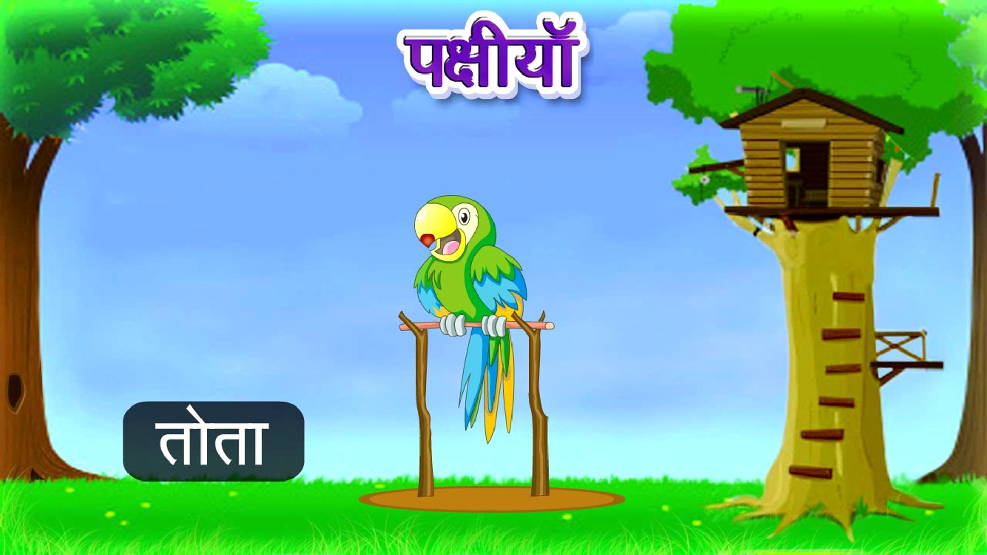 Types of Birds | Animated Video For Kids | Hindi Animation Video - video  Dailymotion
