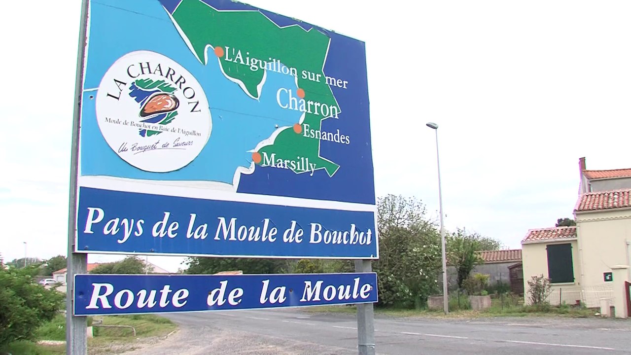 Célà tv Le JT - Réunion à la préfecture sur la crise mytilicole