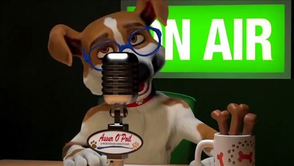 Chien_Chat_Animal_de_compagnie_Assur_O_Poil_TV_Jack_Russel_Assurance_Sante_Animaux