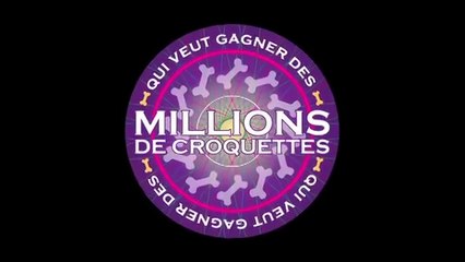 Assur_O_Poil_-_Mutuelle_chien_et_chat_-_QUI_VEUT_GAGNER_DES_MILLIONS_episode_14