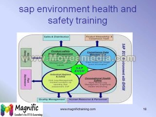 sap environment health and safety training