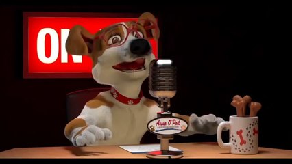 Chien_Chat_Animal_de_Compagnie_Assur_O_Poil_TV_Emission_Assurance_Sante_Chien_et_Chat