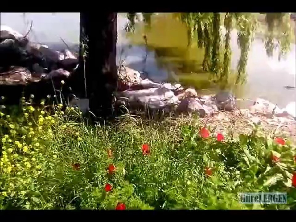 KARACABEY ATATÜRK PARKI'NIN DOĞAL GÜZELLİKLERİ....