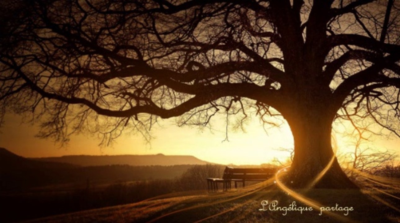 Sagesse des Anciens - intro