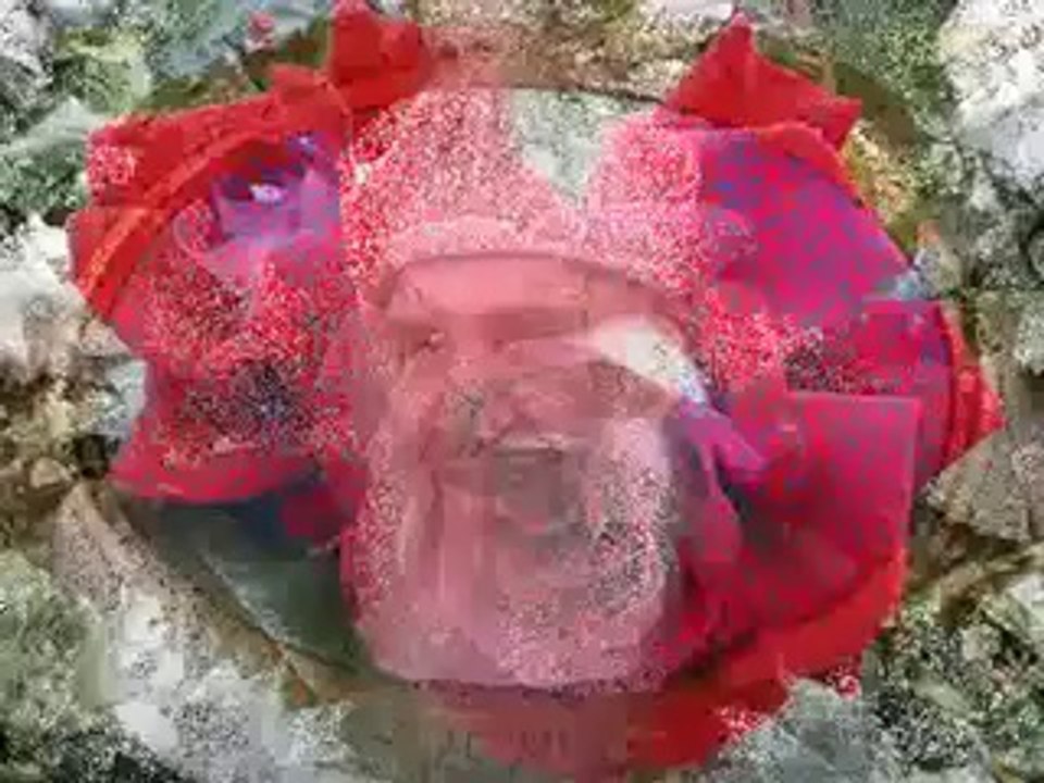 SULTANIMIN CAMİYE GİRİŞİ VARYA -