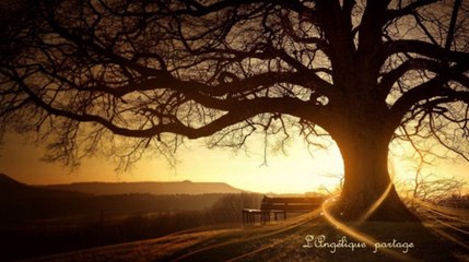 Sagesse des Anciens - 1