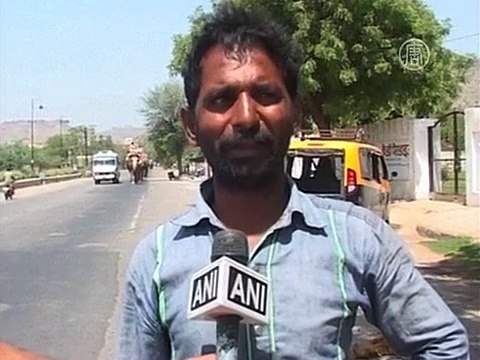 Слоны в Индии страдают от нехватки воды