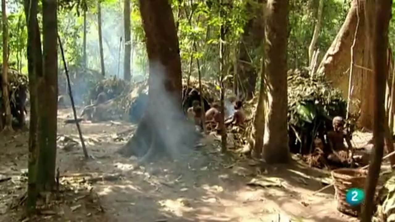 Aislados, una historia de supervivencia 6 El fín del aislamiento