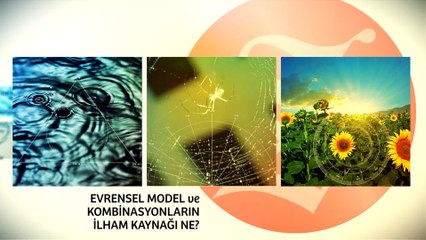 Yaratılışta Matematik ve Geometri