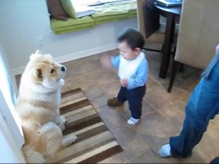 Baby making interesting conversation with dog