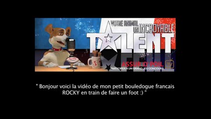 MON_ANIMAL_-_INCROYABLE_TALENT_-_01