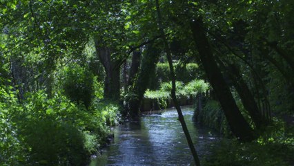 Regards croisés sur les paysages du Vexin français