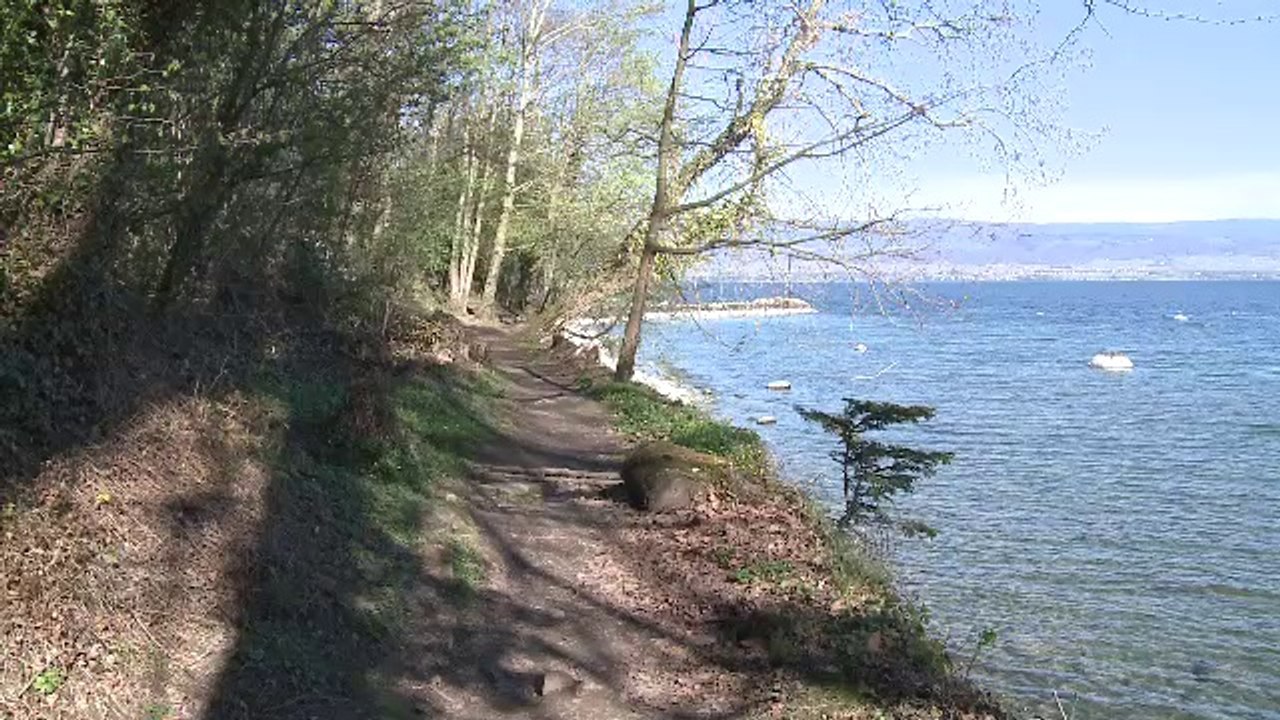 Pour vous en Pays de Savoie : ENS (Mai 2014)