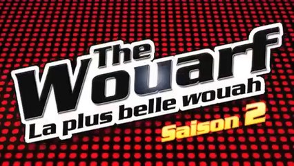 THE_WOUARF_SAISON_2_JINGLE_DE_L_EMISSION_D_ASSUR_O_POIL_LA_MUTUELLE_DES_ANIMAUX
