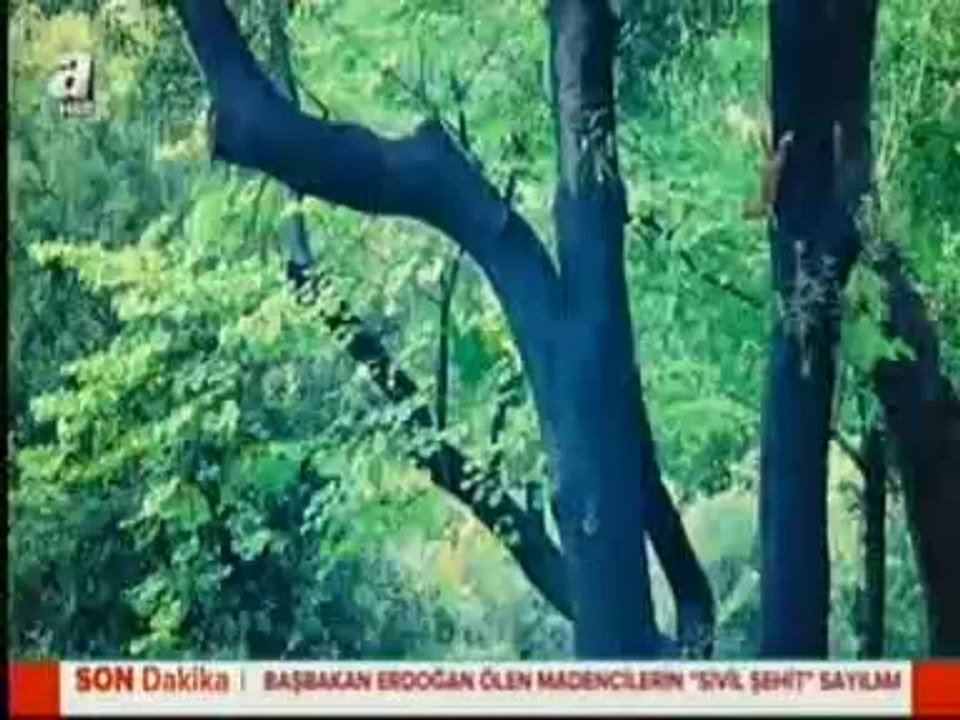 A HABER SOMA'DA CANLI YAYIN PROGRAMI (18 MAYIS 2014)