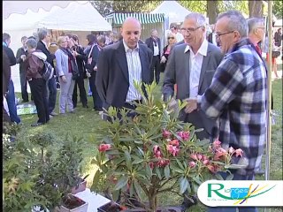 Fête des fleurs Riorges 2014