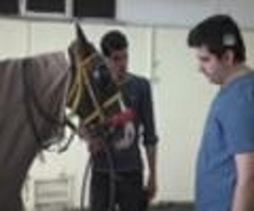 Yarış atlarına "özel" hastane