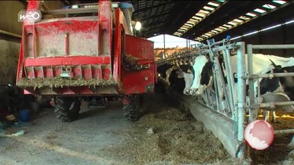 A quoi sert l'Europe : Aides et quotas