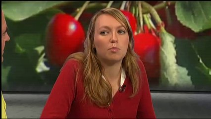 Espai Terra. Dilluns 19 de maig