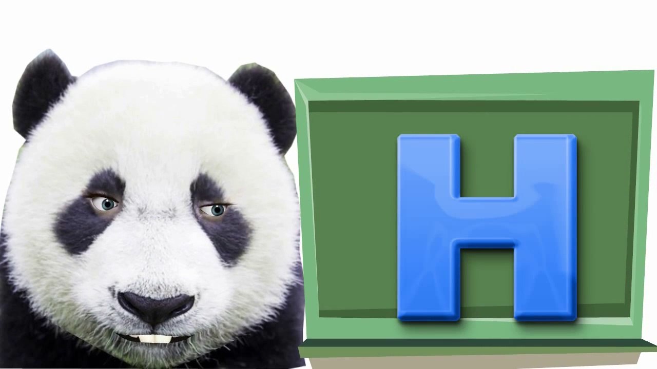 Alphabet Songs ABC Songs for Children Learning  Nursery Rhymes