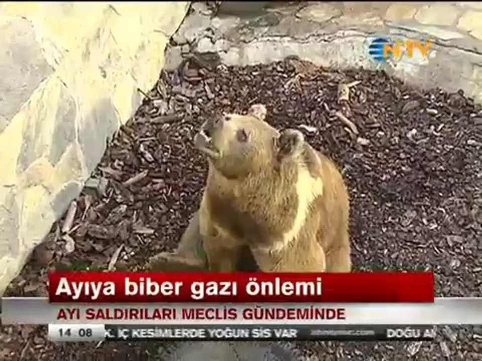 Elektronik Kontrollü Çit