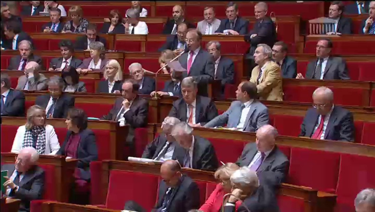 Question au Gouvernement 21 mai 2014 - Lebranchu