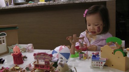 Girl And Sylvanian Families