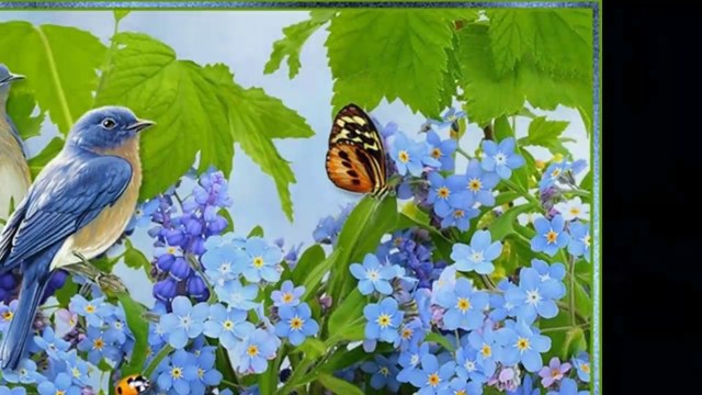 Forget - me - not!...(poetry Ivelina Nikova)...(music Ernesto Cortazar)...