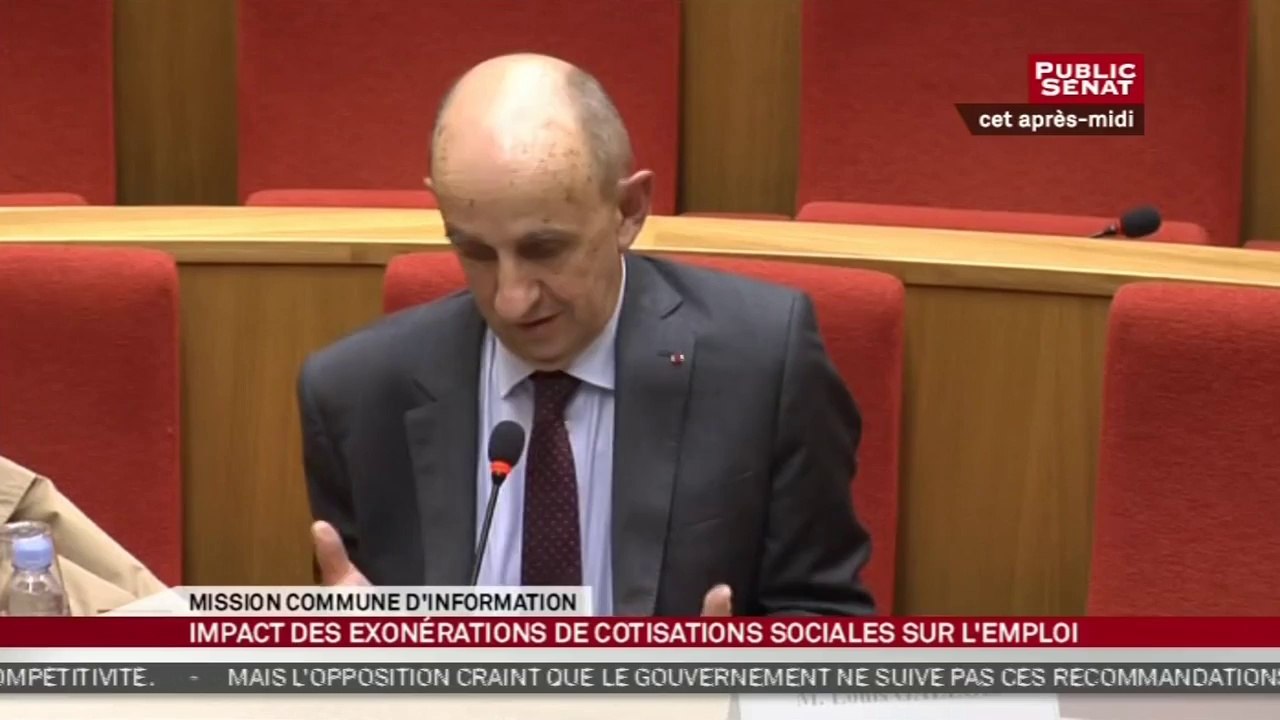 M. Louis Gallois et Henri Sterdyniak - Audition