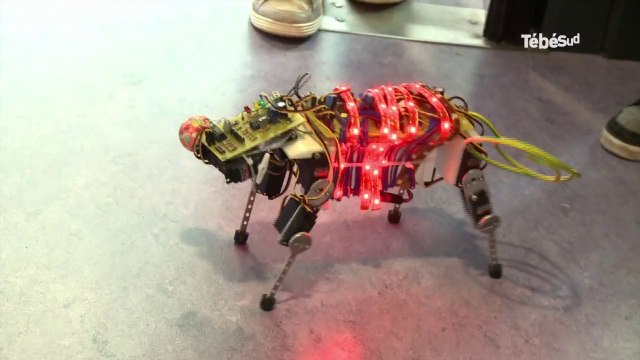 Lorient. Combats de robots entre collégiens et lycéens