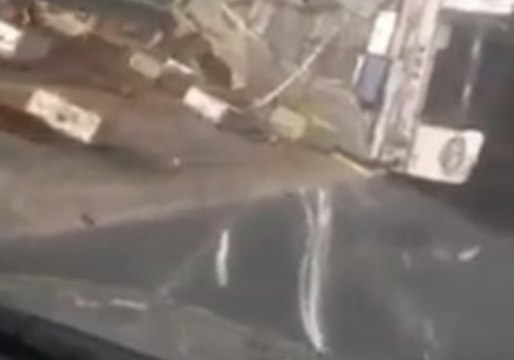 Bees Swarm Delaware Highway After Trailer Crash