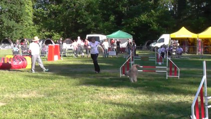 Glen Sélectif Trophéé Cibiens M2