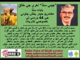Aman Shaikh Khaliq Junejo Dr Aziz Talpur and Comrade Shabir Solangi on Comrade Hyder Bux Jatoi's 44 Anniversary Special Transmission by RVOS 21 MAY 14