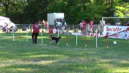 Vicky Sélectif Trophéé Cibiens M2