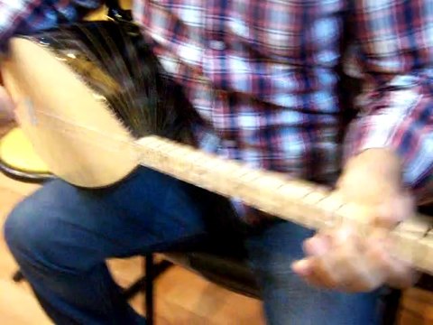 kısa sap gitar burgulu flt ceviz saz