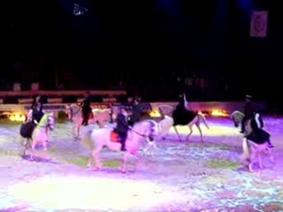 REPRISE DRESSAGE, IBERIQUE