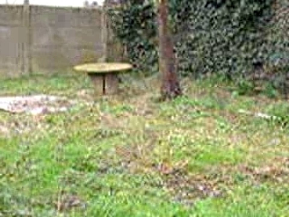 Dans l herbe