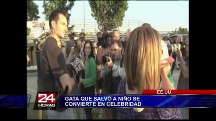 EEUU: gata que salvó a niño de ataque de un perro se convirtió en celebridad