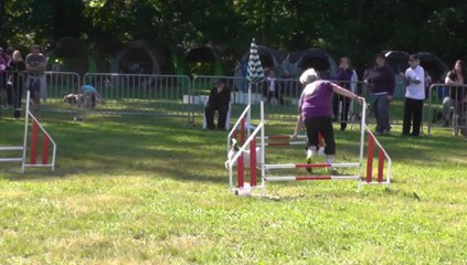 Elfie Sélectif Trophéé Cibiens M2