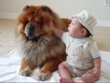 Partners in Cuteness (7 months old baby & chow dog)
