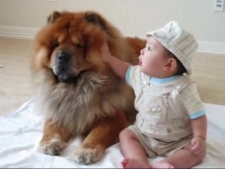 Partners in Cuteness (7 months old baby & chow dog)