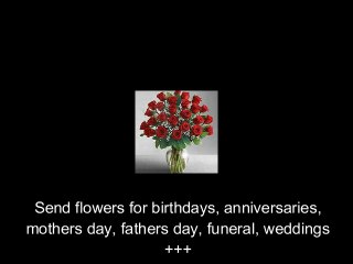 Best Online Florist Dallas. All Occasion Florist Dallas.