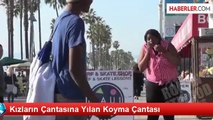 Kızların Çantasına Yılan Koyma Şakası