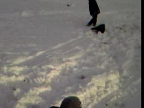 Mechante gamelle en luge