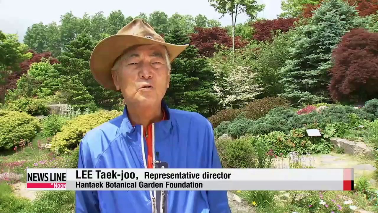Protecting Korea's plant diversity